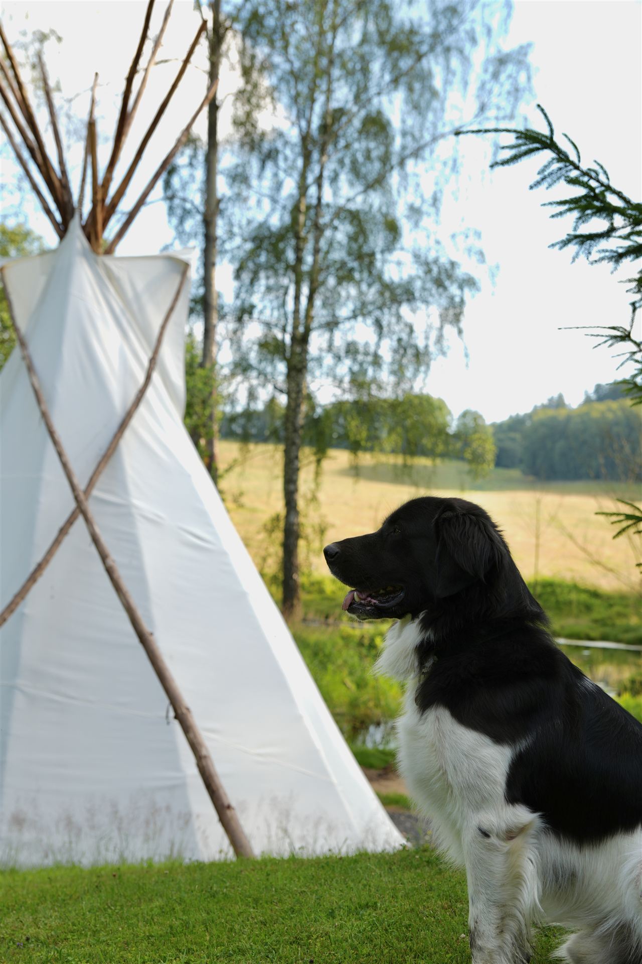 Teepee 2